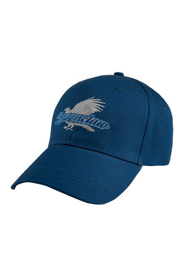 Harry Potter Curved Bill Cap – Ravenclaw
