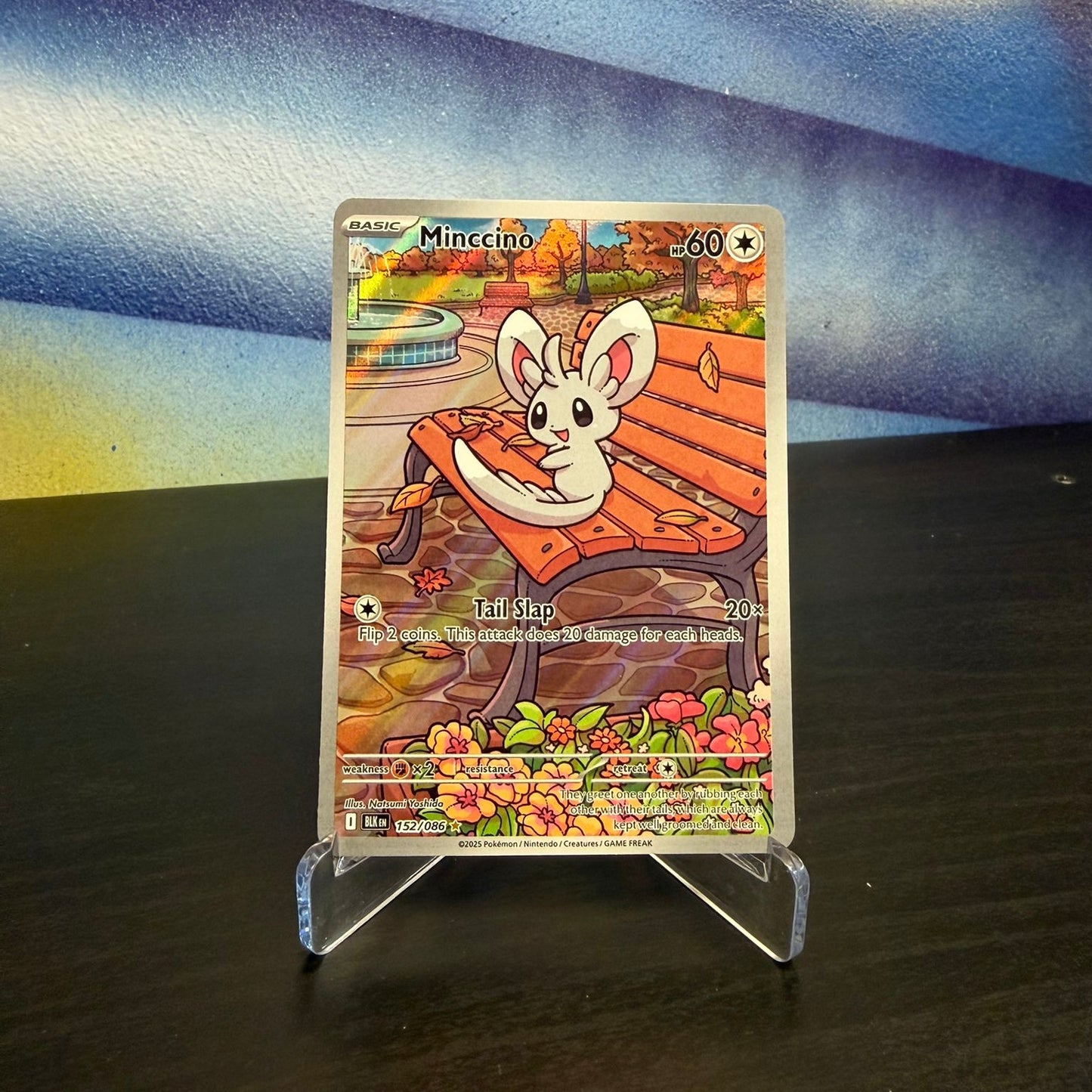 Pokémon TCG Single Card – Minccino 152/086 (BLK) – Raw (English)