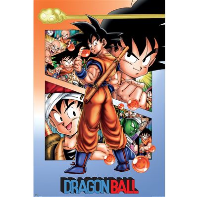 Maxi Poster
